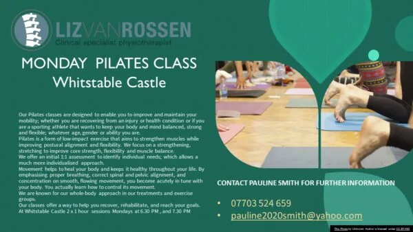 Liz Pilates Poster 3 Liz Pilates Poster 3