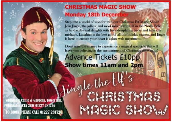 christmas magic show
